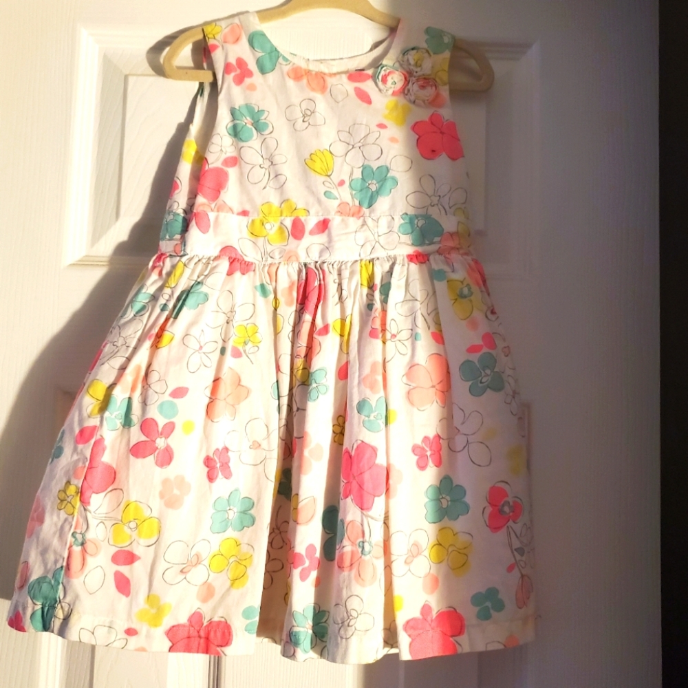 Carters dress